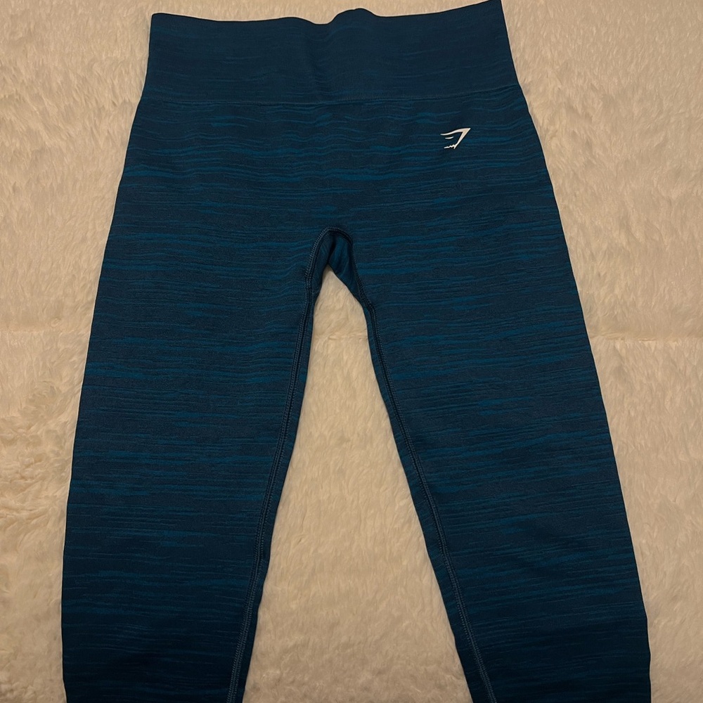 Gym Shark Blue Leggings